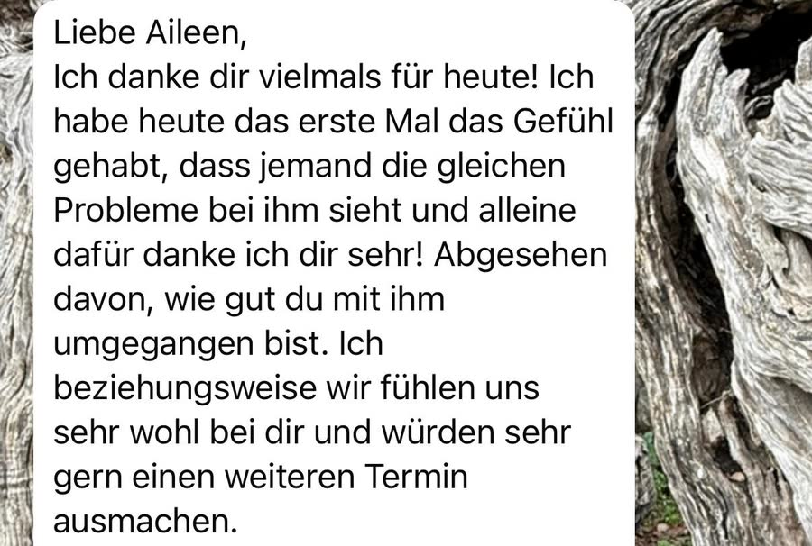 Nachricht an Aileen: &bdquo;Ich habe heute das erste Mal das Gefühl gehabt, dass jemand die gleichen Probleme bei ihm sieht. Wir fühlen uns sehr wohl bei dir.&ldquo;