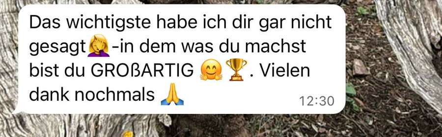 Nachricht an Aileen: &bdquo;Das wichtigste habe ich dir gar nicht gesagt: in dem was du machst bist du großartig.&ldquo;