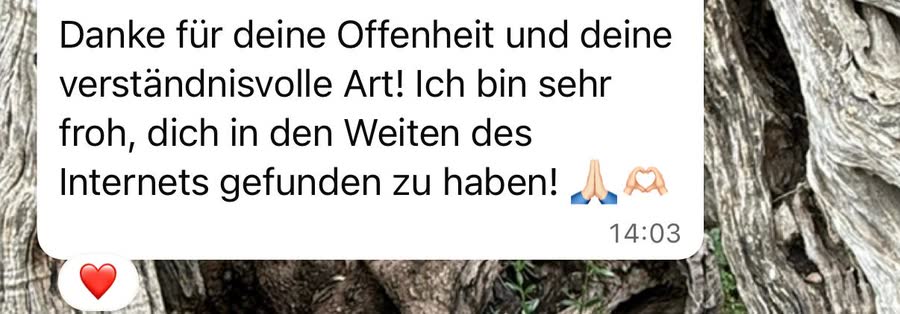 Nachricht an Aileen: &bdquo;Danke für deine Offenheit und deine verständnisvolle Art. Ich bin sehr froh, dich in den Weiten des Internets gefunden zu haben.&ldquo;